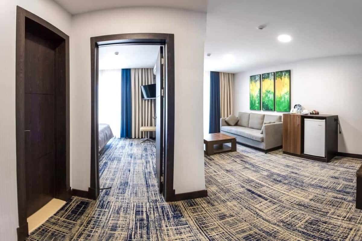 Habitación de hotel con alfombra estampada, un sofá, una mesita, un armario y un televisor.
