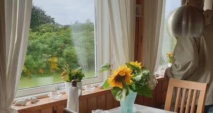 Cozy and bright home with a lovely private terrace