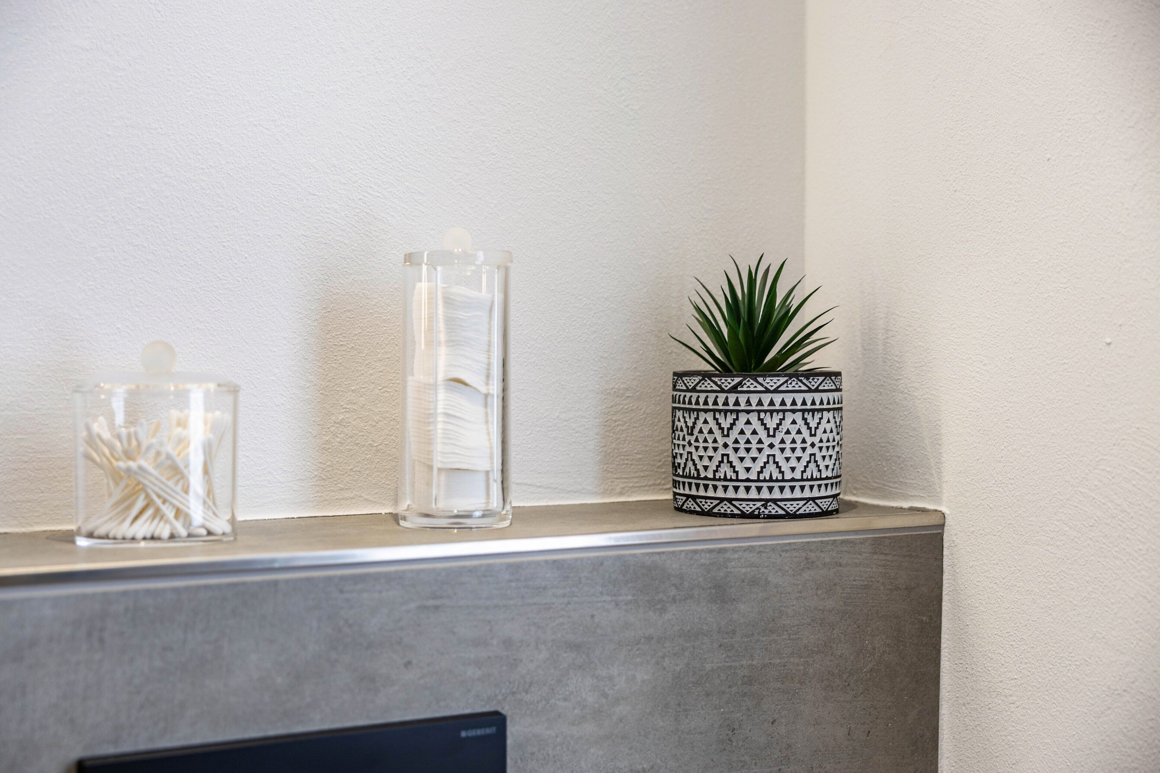 A shelf with three containers: a clear glass jar with white cotton swabs, a clear glass jar with a white substance, and a black and white patterned pot with a green plant.