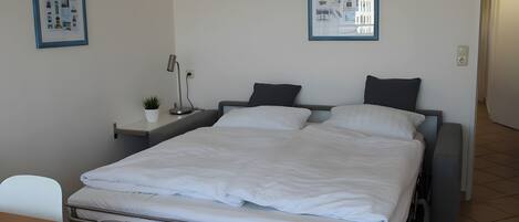 Habitación con una cama individual de estructura metálica, una mesita de noche con lámpara, una pequeña planta en maceta y dos cuadros en la pared.