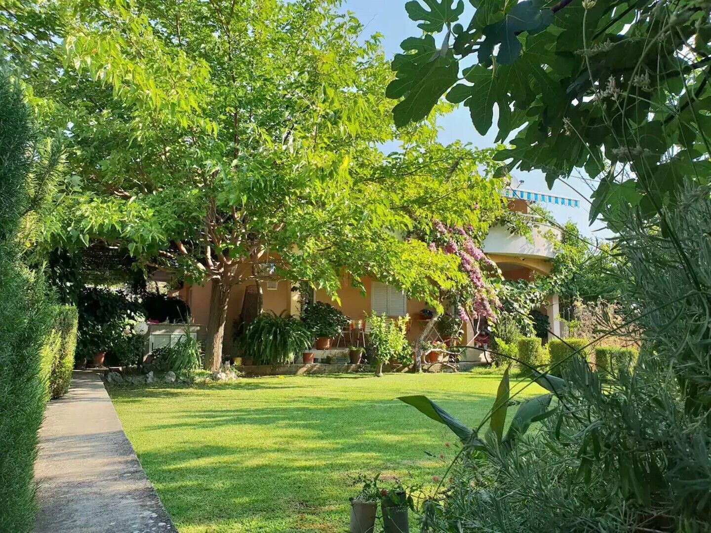 المنطقة المحيطة بالمنشأة