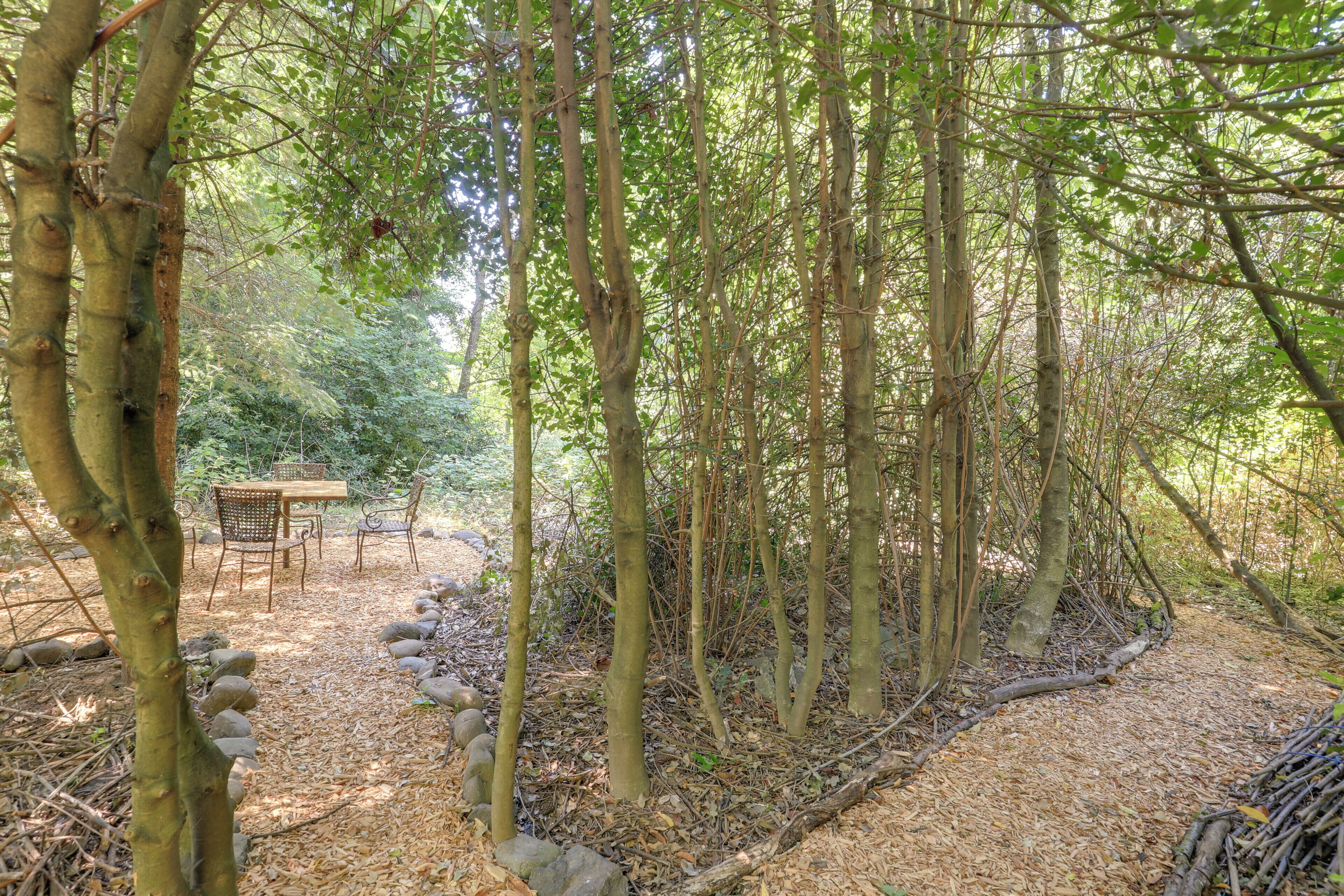 Une zone boisée avec un banc et une table en bois, entourée d’arbres et bordée d’un sentier recouvert de copeaux de bois.