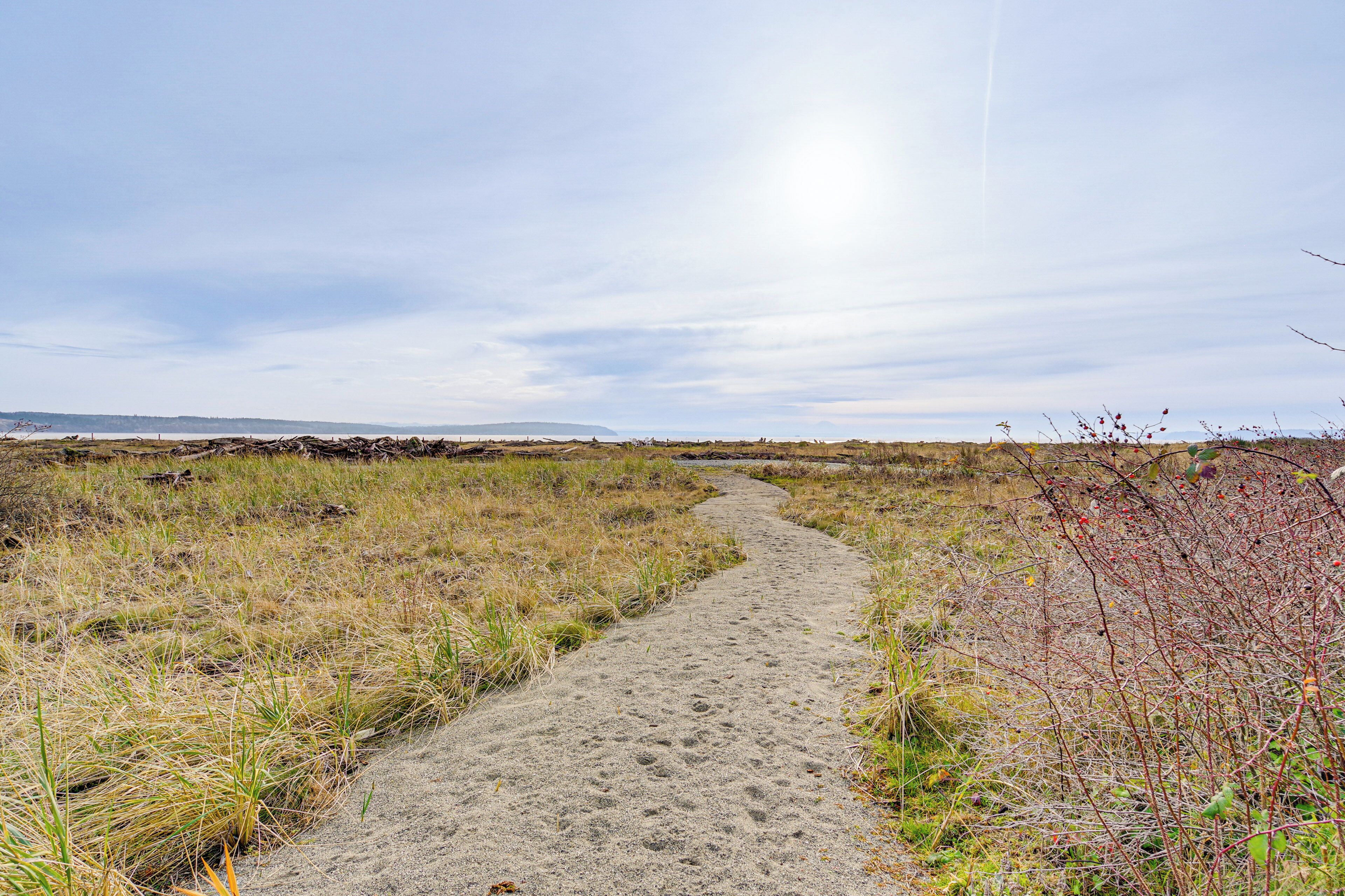 Ein sandiger Pfad in einer natürlichen Landschaft mit Gras und Sträuchern.