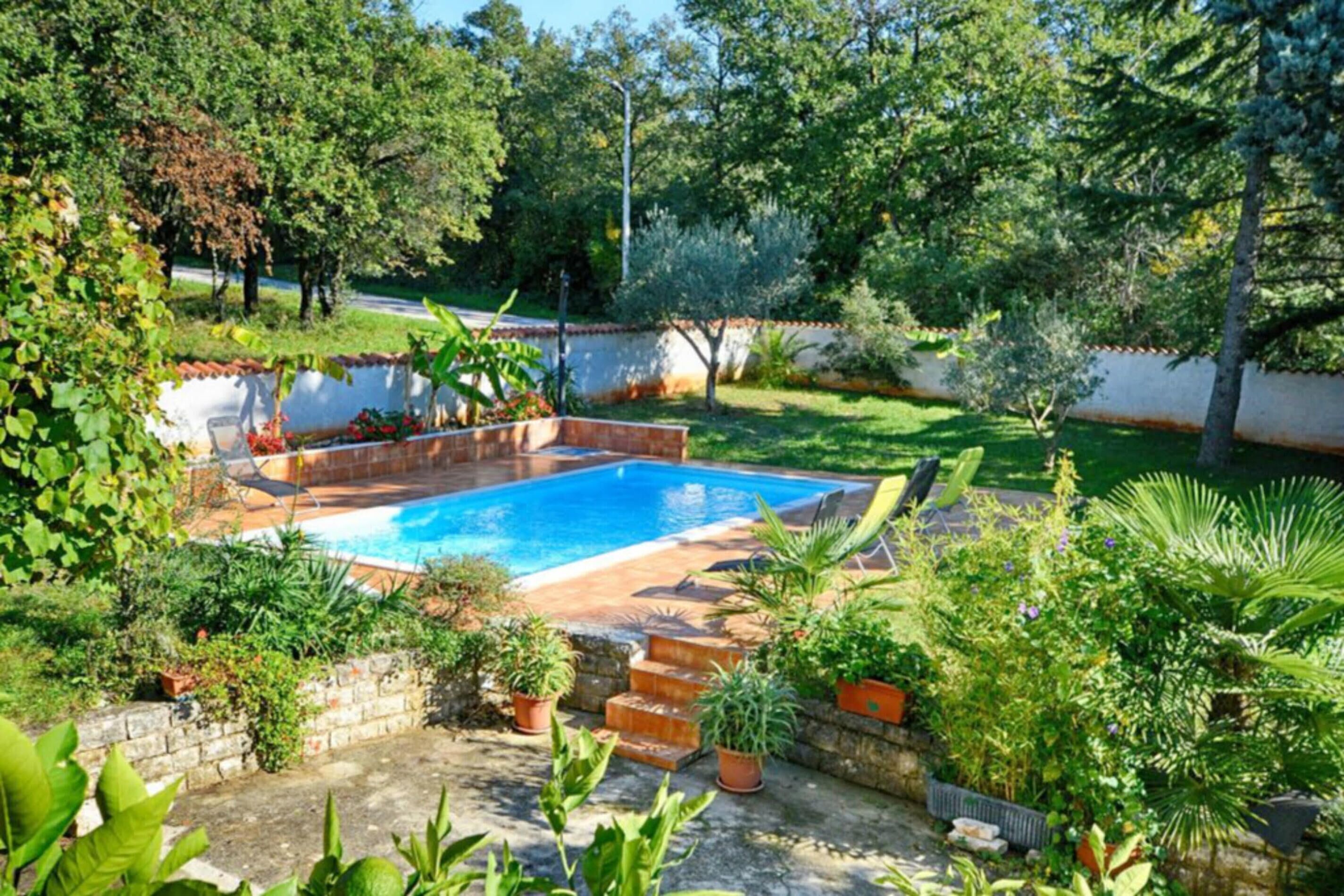 Une piscine entourée d’une végétation luxuriante et de plantes en pot.