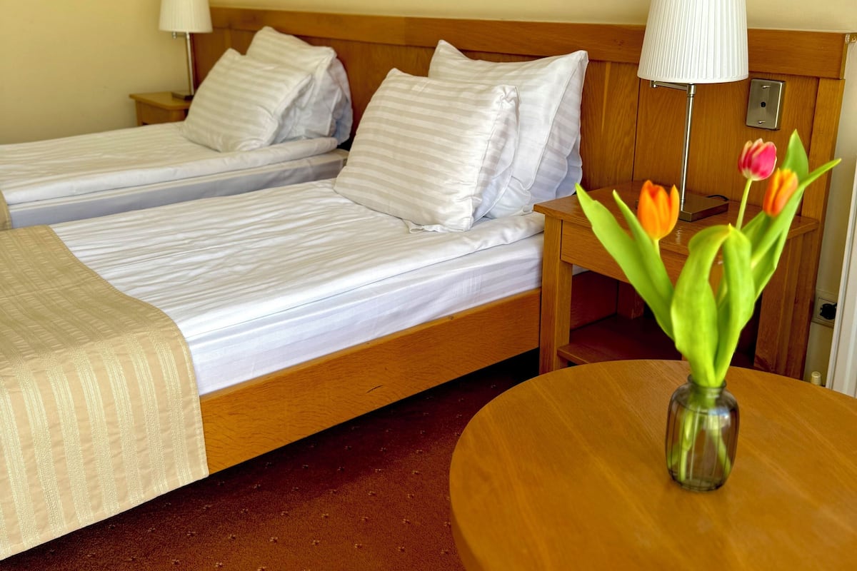 Habitación estándar con 2 camas individuales, vista a la ciudad | Caja de seguridad en la habitación y espacio para trabajar con laptop