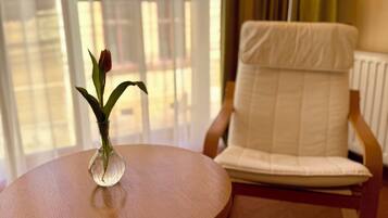 Dobbeltrom – standard, 1 queensize-seng, byutsikt | Safe på rommet, skrivebord for bærbar PC, wi-fi (inkludert) og sengetøy