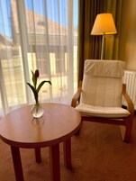 Standard Double Room, 1 Queen Bed, City View | In-room safe, laptop workspace, free WiFi, bed sheets