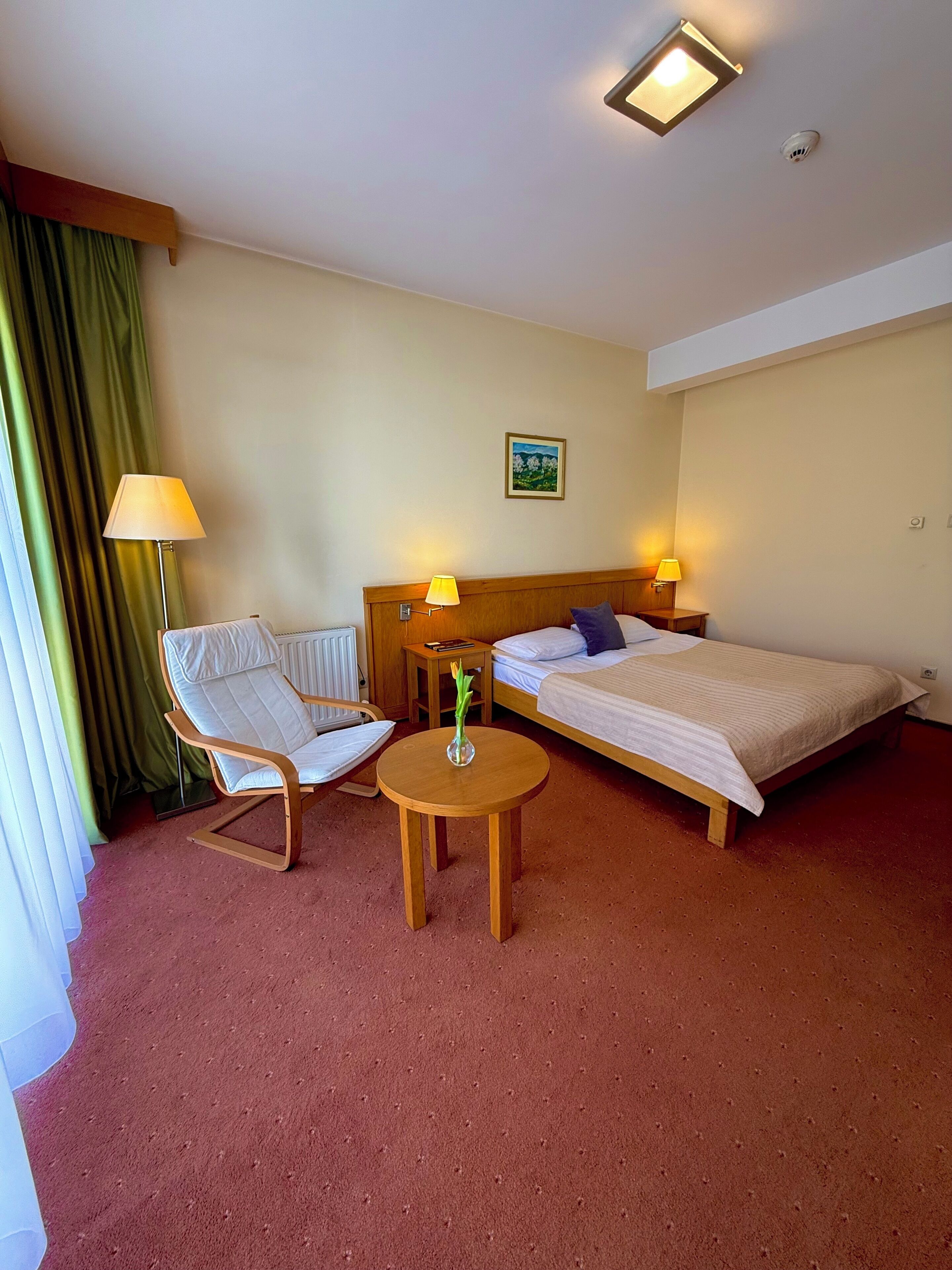 Habitación doble estándar, 1 cama Queen size, vista a la ciudad | Caja de seguridad en la habitación y espacio para trabajar con laptop 