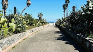 Un vialetto lastricato costeggiato da cactus e palme sotto un cielo azzurro.