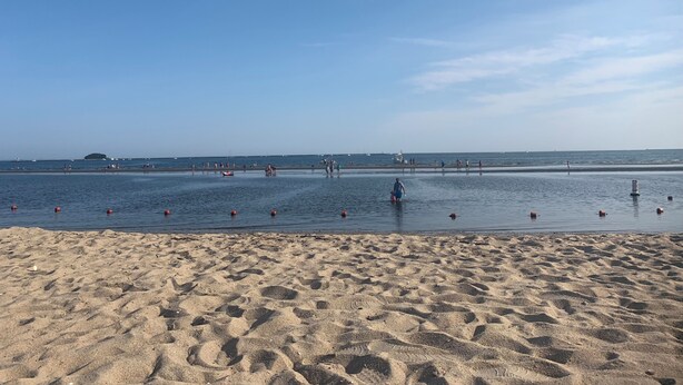 En sandstrand med et roligt hav og en klar himmel.