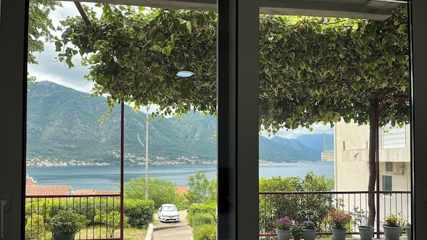 Un balcon doté d’un sol en pierre, de plantes en pot et offrant une vue sur un lac et des montagnes.