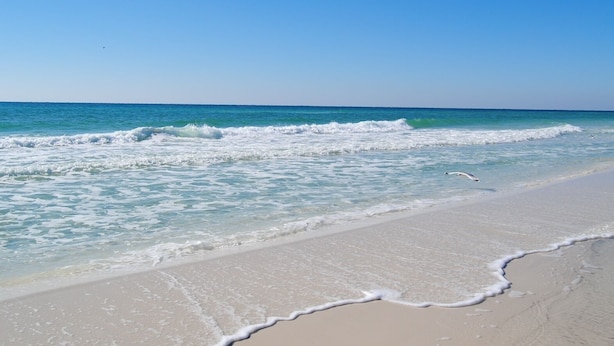 Une plage où l’eau est d’un bleu limpide et où les vagues viennent doucement lécher le rivage.