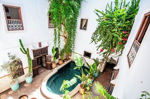 حمام سباحة