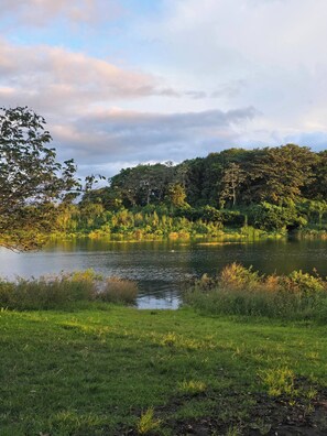 A serene lakeside landscape with a grassy foreground, dense trees in the background, and a calm body of water reflecting the sky. - Stay at Alexas Nature House (Arenal)