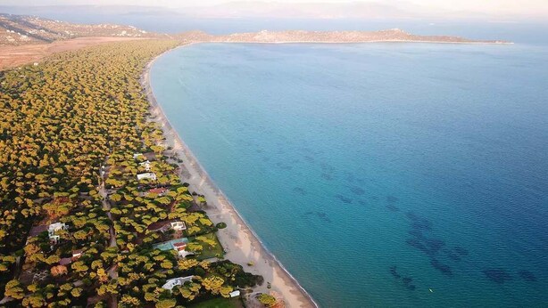An aerial view of a coastal area with a dense forested area adjacent to a beach. - Villa Amorata - Schinias Private Garden Retreat (Schinias)