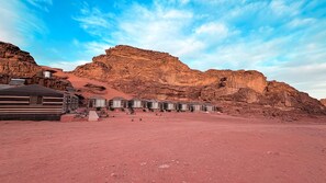 Reception - Solar Soul Camp Wadi Rum (Wadi Rum)