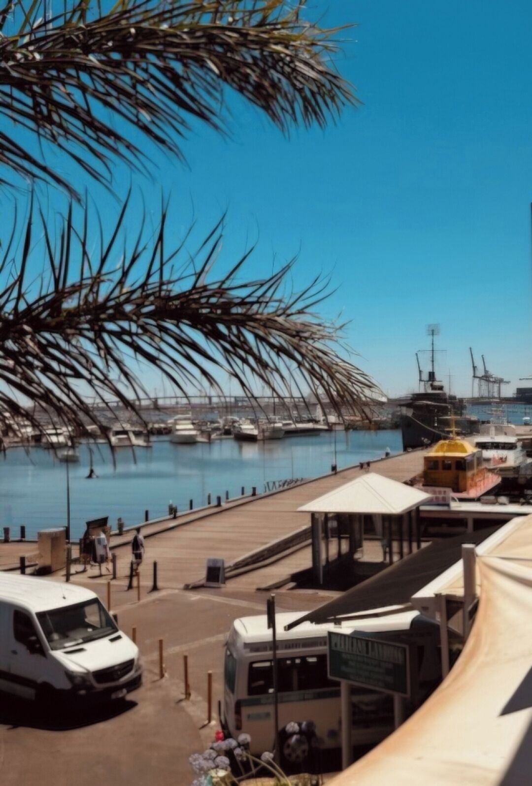 Marina