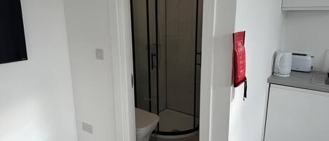 Shower, hair dryer, bidet, towels