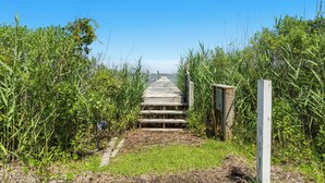 Un sentier en bois mène à une structure également en bois, qui est entourée d’une végétation luxuriante.