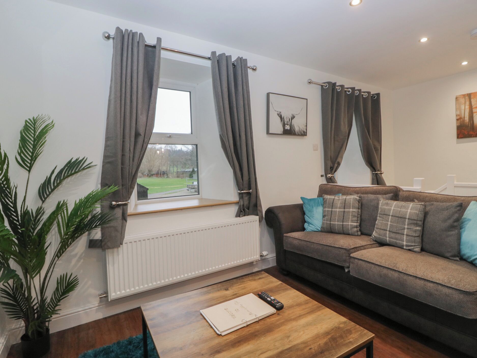 A living room with a sofa, a coffee table, a window with curtains, a radiator, and a plant.