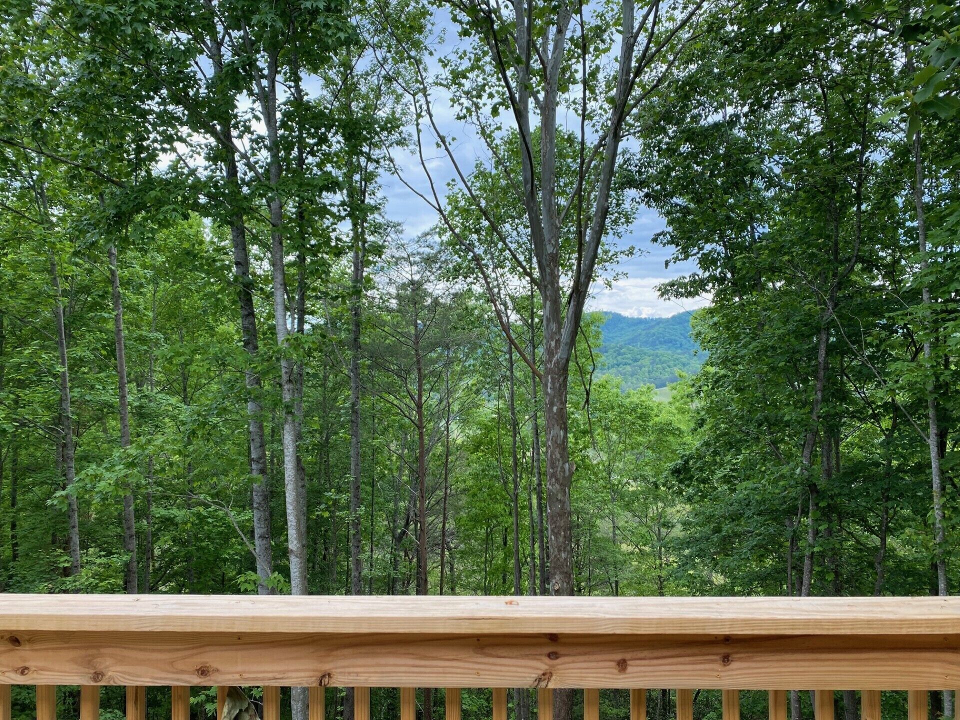 Apartamento | 3 quartos