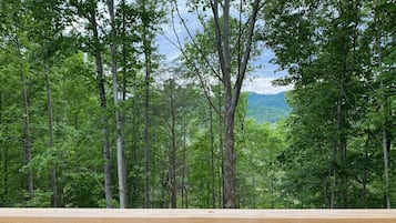 Apartment | 3 bilik tidur