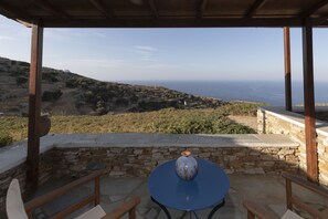 Standard Apartment, Balcony | Terrace/patio