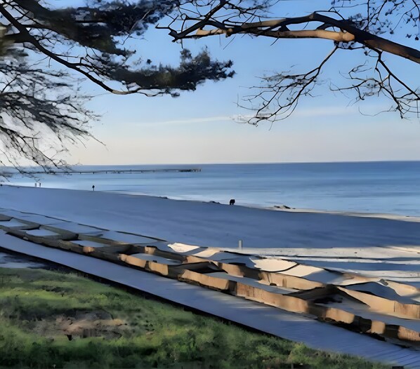 Un paysage côtier avec une plage, une jetée et un sentier bordé d’arbres.