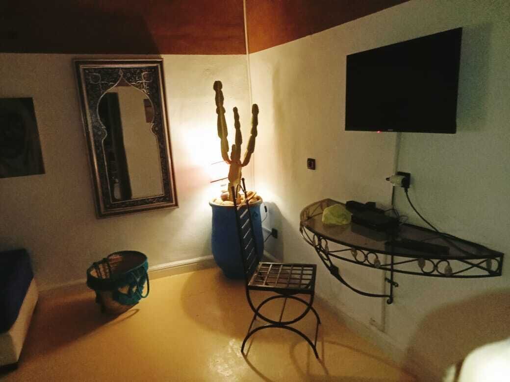 A room with a cactus, a metal chair, a blue trash bin, a framed mirror, and a mounted television.