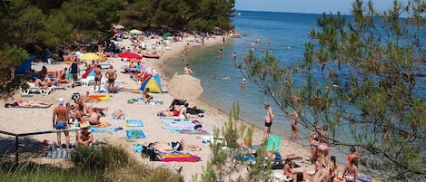 Apartment, 2 Bedrooms, Balcony, Garden View | Beach