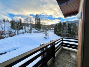 Property grounds - Apartment with mountain and slope views (Combloux)