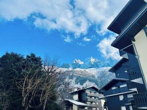 Exterior - Renovated flat with Mont Blanc's view | Parking (Chamonix-Mont-Blanc)