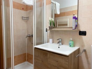 Hair dryer, bidet, towels, toilet paper