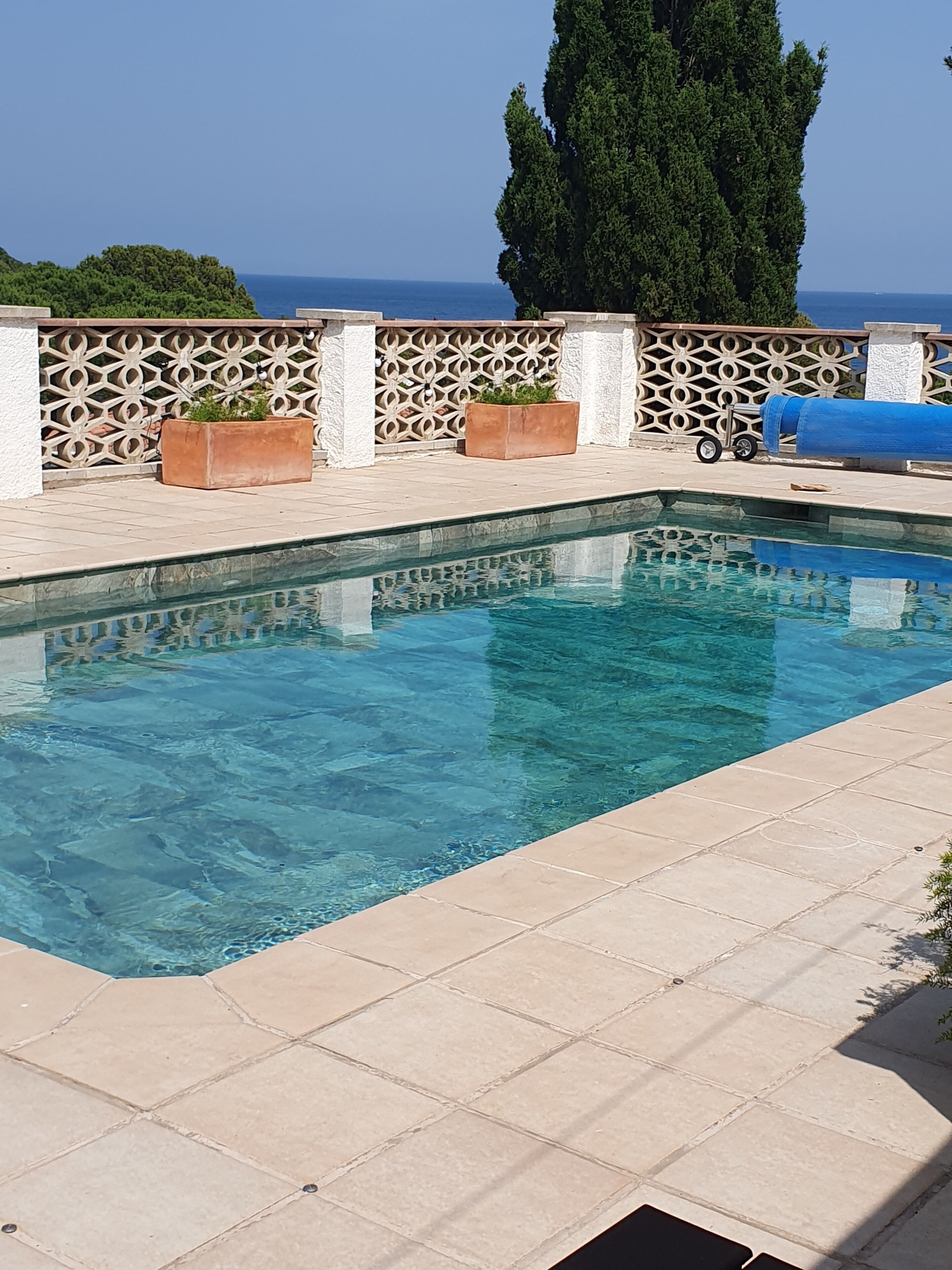 Une piscine rectangulaire à l’eau d’un bleu limpide, entourée de carreaux de couleur beige. Deux jardinières marron, ornées de plantes vertes, se trouvent au bord de la piscine. On aperçoit un barbecue bleu en arrière-plan.