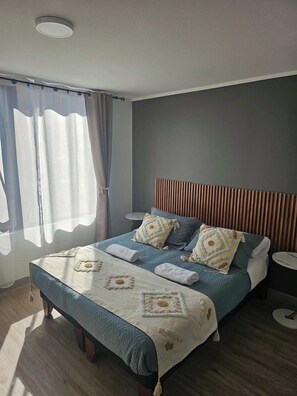 1 bedroom, iron/ironing board, WiFi, bed sheets - Dept. Downtown Santiago, steps from the Palacio de la Moneda and Plaza de Armas. (Santiago)