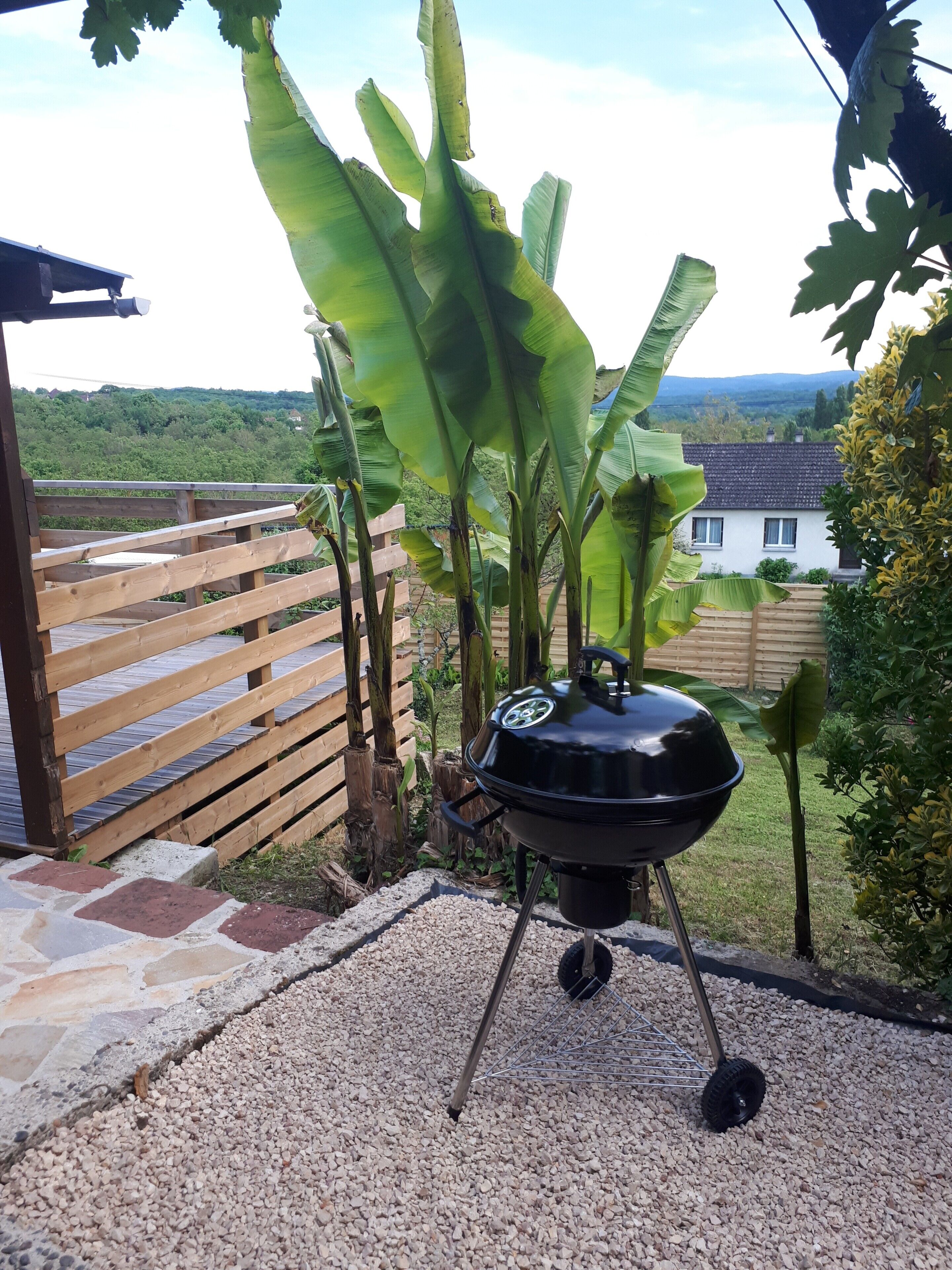 A barbecue grill outdoors with a wooden fence and greenery in the background.
