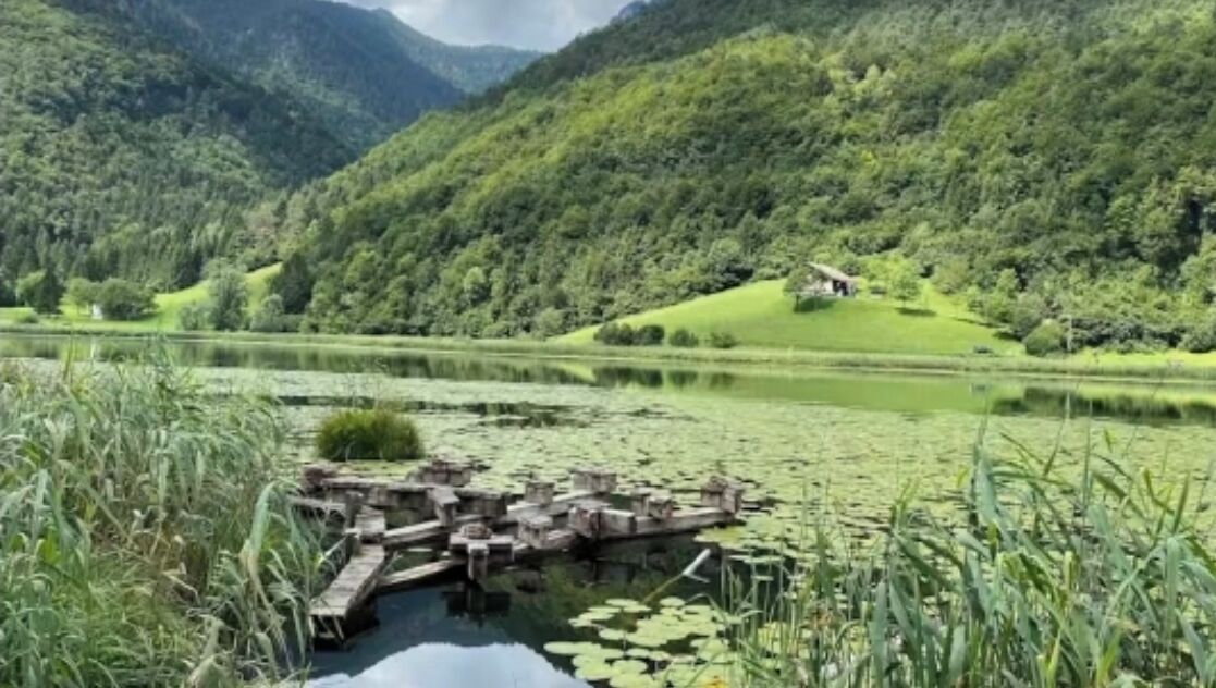 Un paysage paisible au bord d’un lac, avec une jetée en bois s’avançant dans l’eau, entourée d’une végétation luxuriante et de montagnes en arrière-plan.