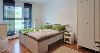 Möbliertes Wohnen Nähe des Plauener Altmarktes mit Sonnenbalkon