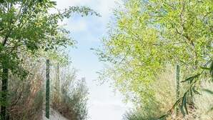 Un sendero arenoso que lleva al mar, rodeado de vegetación y una estructura de madera.