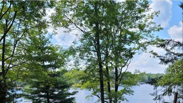 A wooden deck with a view of a lake and trees. - Cozy 2 bedroom cottage on lake! (Mountain)