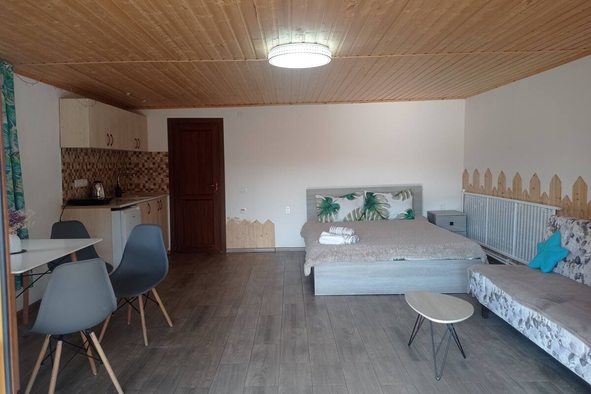 A room with a bed, a sofa, a small table, a chair, a kitchenette, and a wooden ceiling.