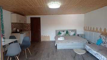 Suite estudio Confort, vista al jardín | Escritorio, espacio para trabajar con laptop y cortinas blackout