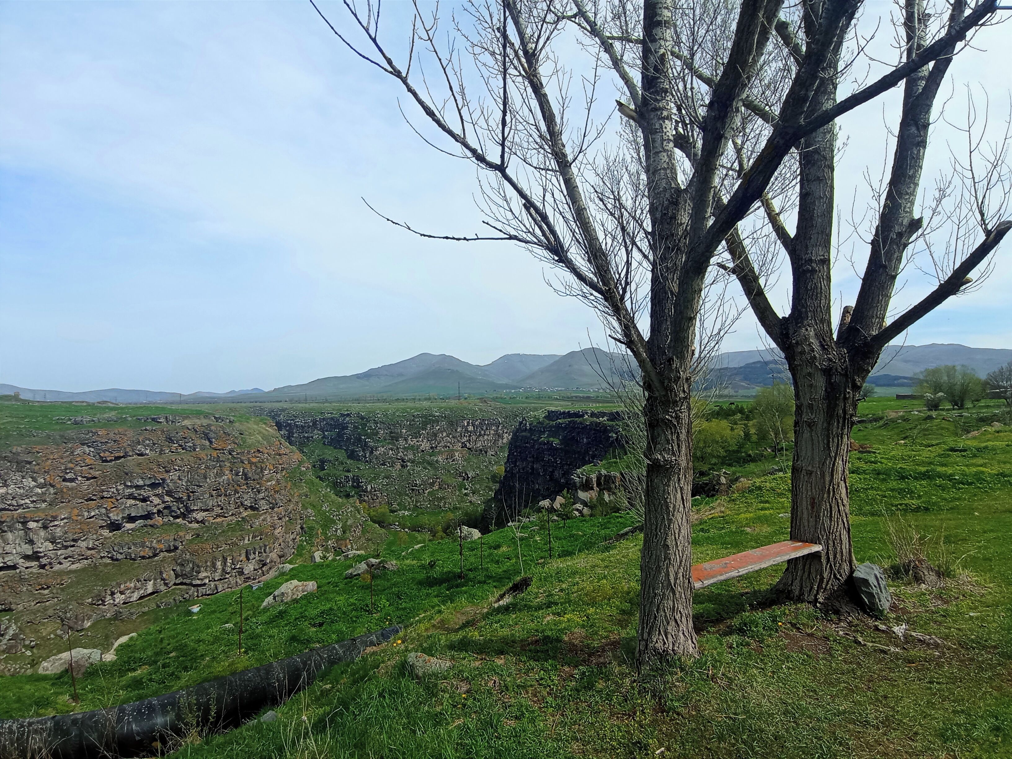 Un paisaje con un árbol grande, un muro de piedra y montañas a lo lejos.