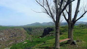 Un paisaje con un árbol grande, un muro de piedra y montañas a lo lejos.
