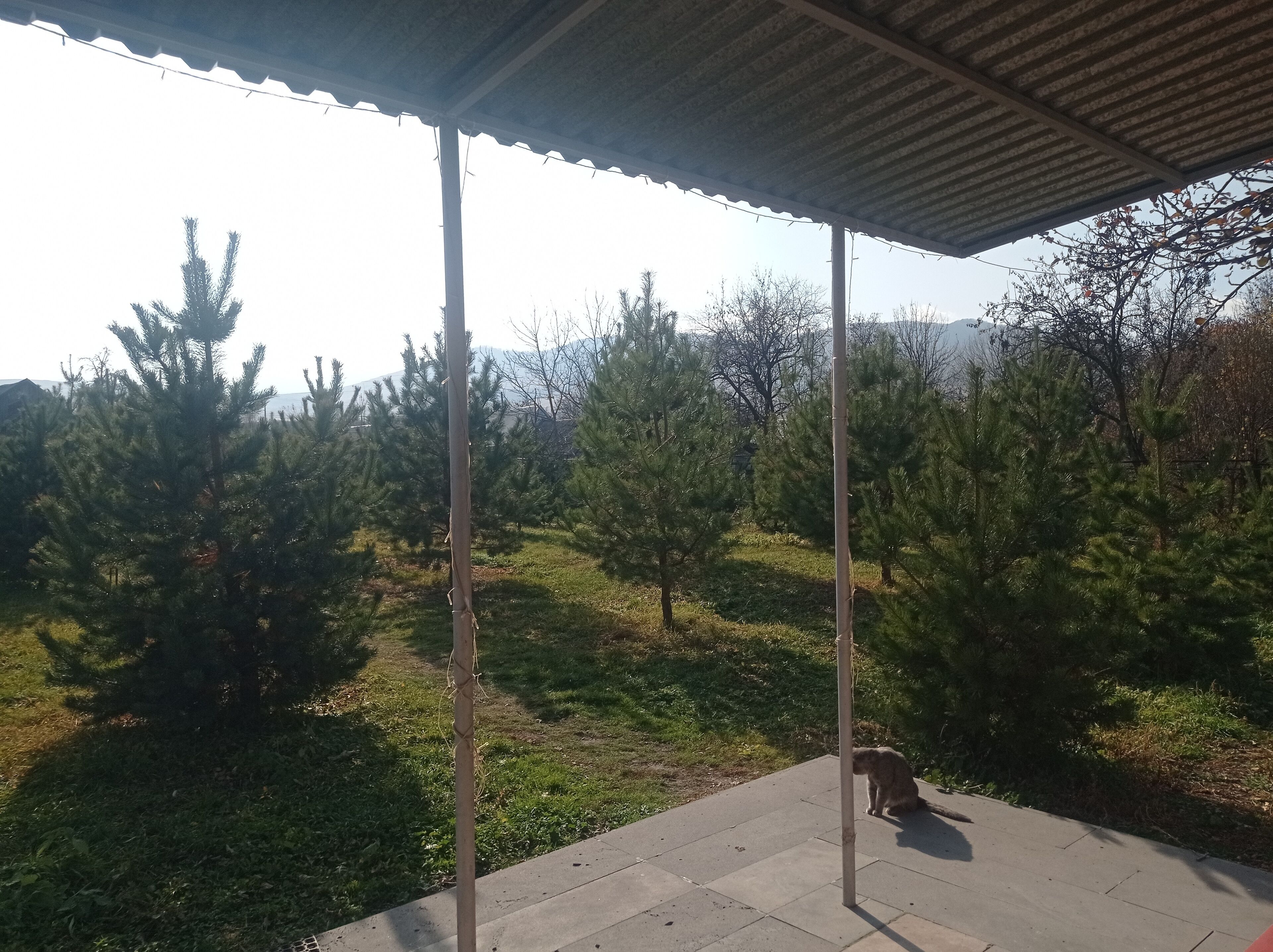 Áreas de la propiedad