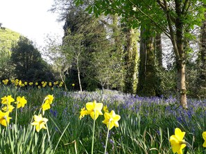 Property grounds - Pandia Cottage, Warleggan - Idyllic Surroundings - Sleeps 5 + dogs + parking (Cornwall)