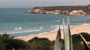 Un paysage côtier avec une plage, l’océan et des falaises rocheuses.