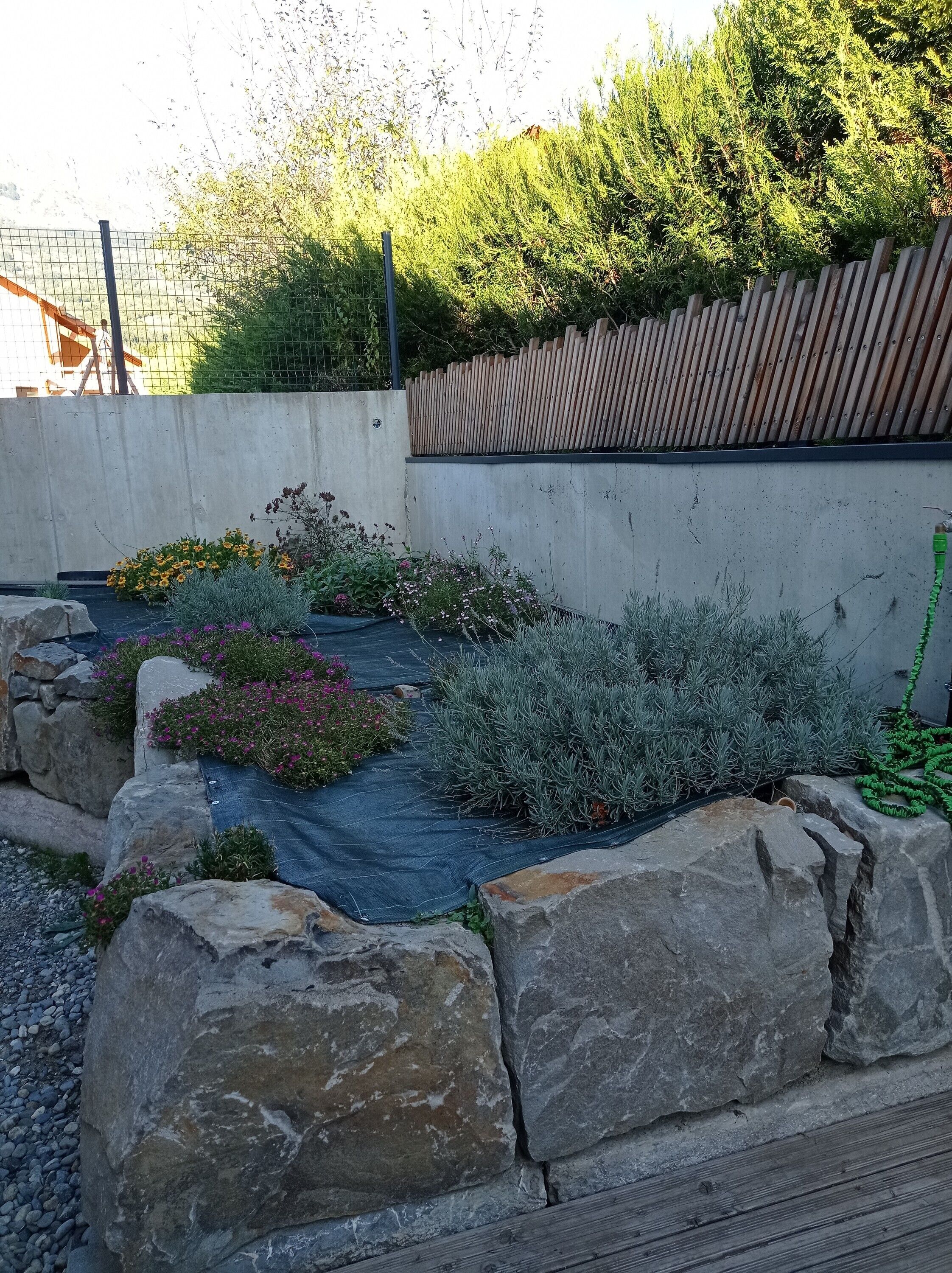 Parco della struttura