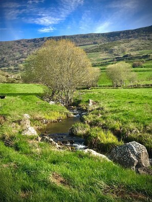 Miscellaneous - Vrbo Property (Paulhac)