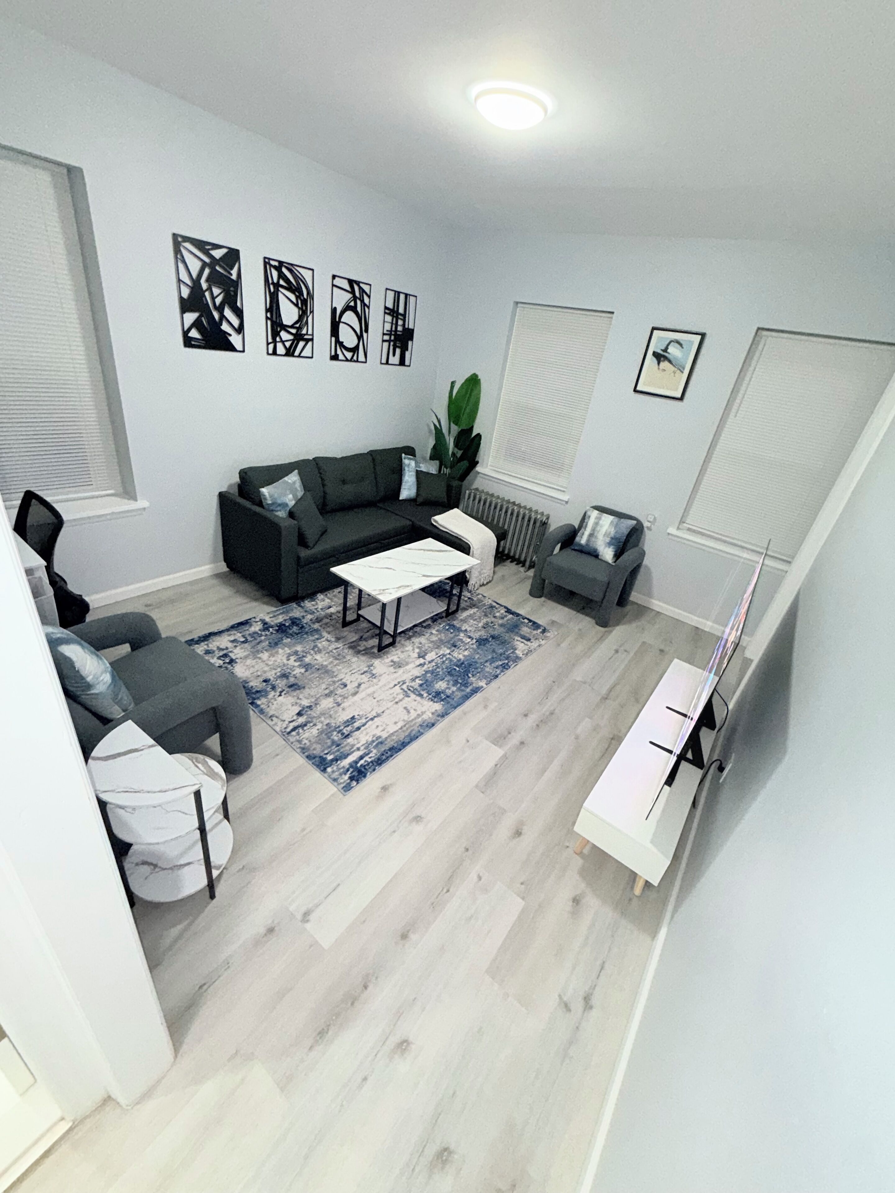 Smart TV, computer monitors